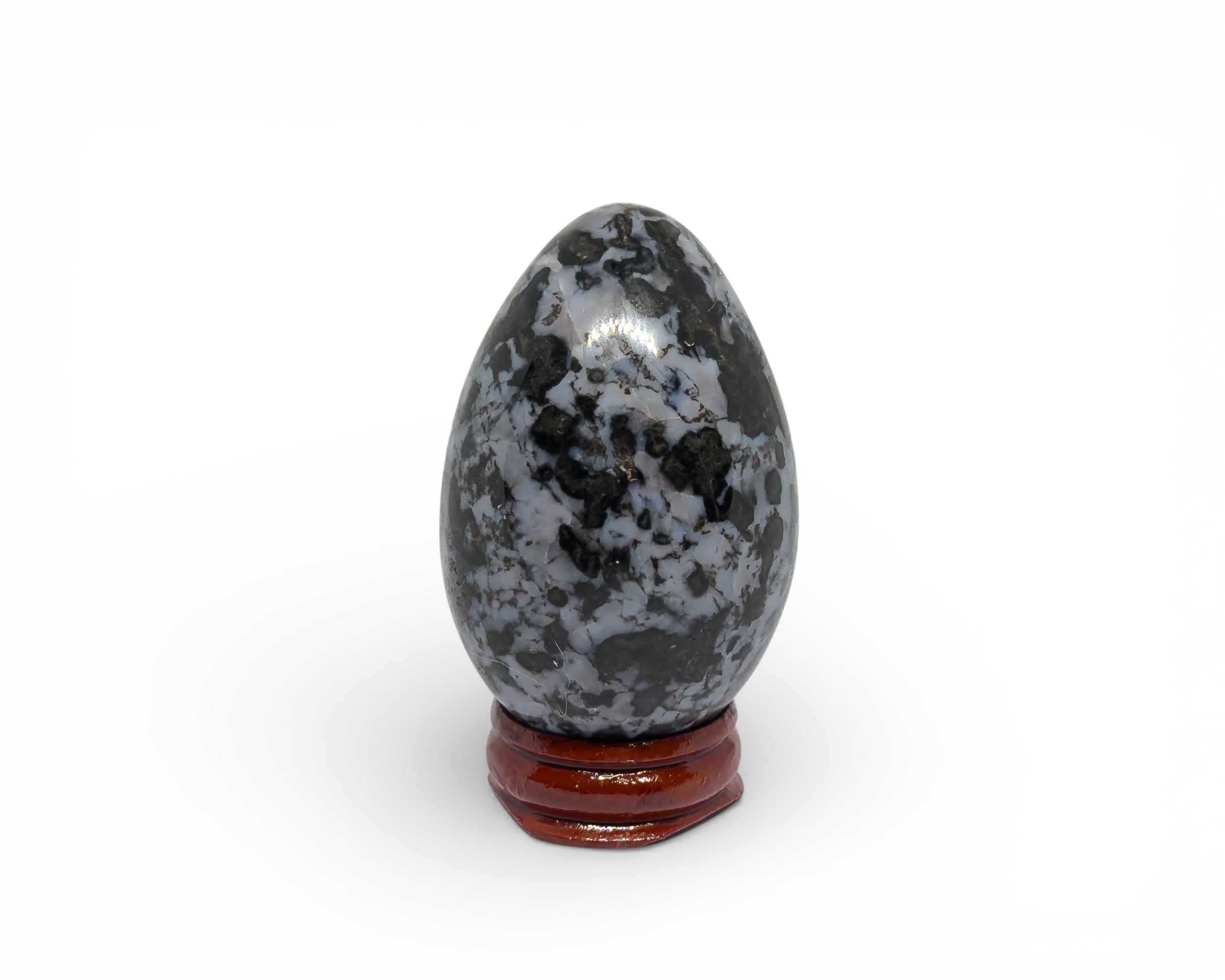Indigo Gabbro tojás