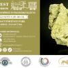 Budapest Mineral Show